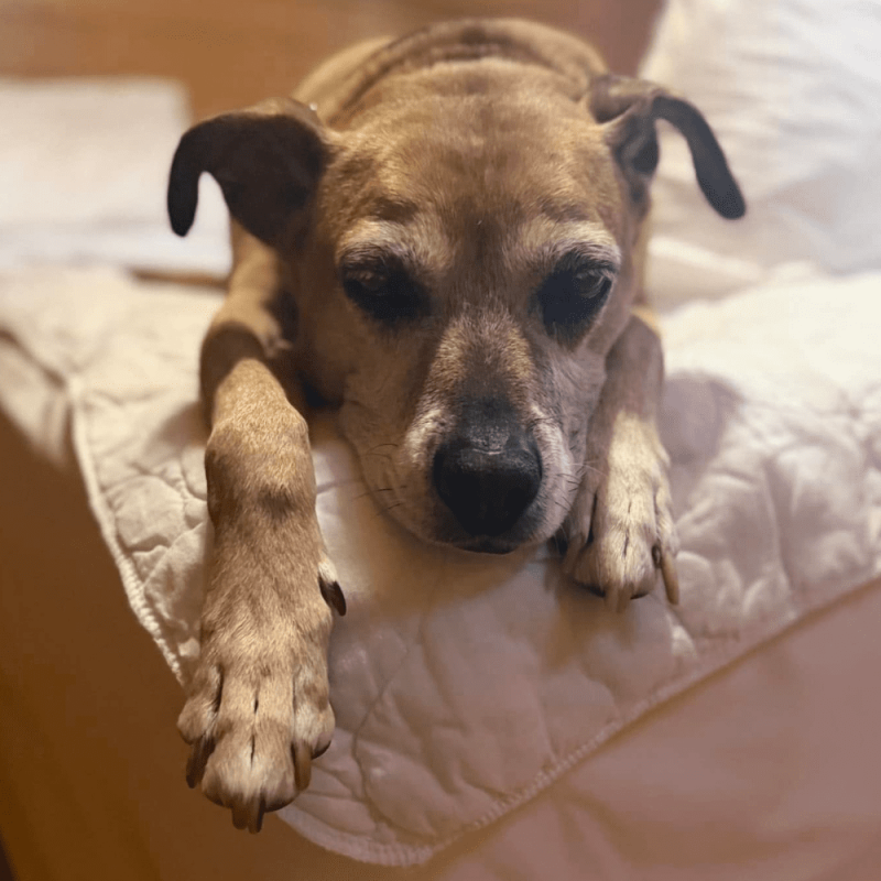 Website 1000x1000 - 2026-02-16T164334.613