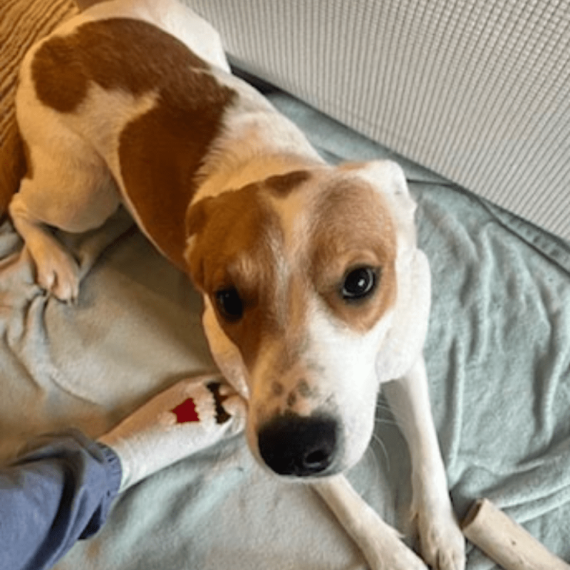 Website 1000x1000 - 2026-02-24T115756.293