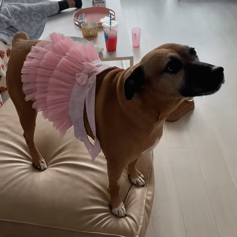 Website 1000x1000 - 2026-02-28T132353.333