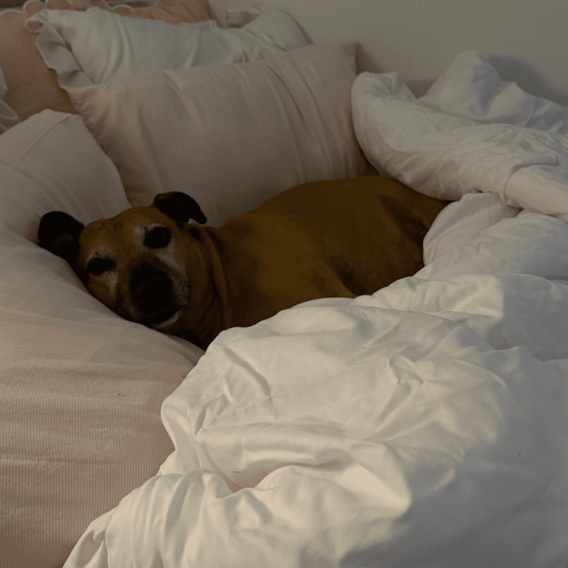 Website 1000x1000 - 2026-02-28T132404.874