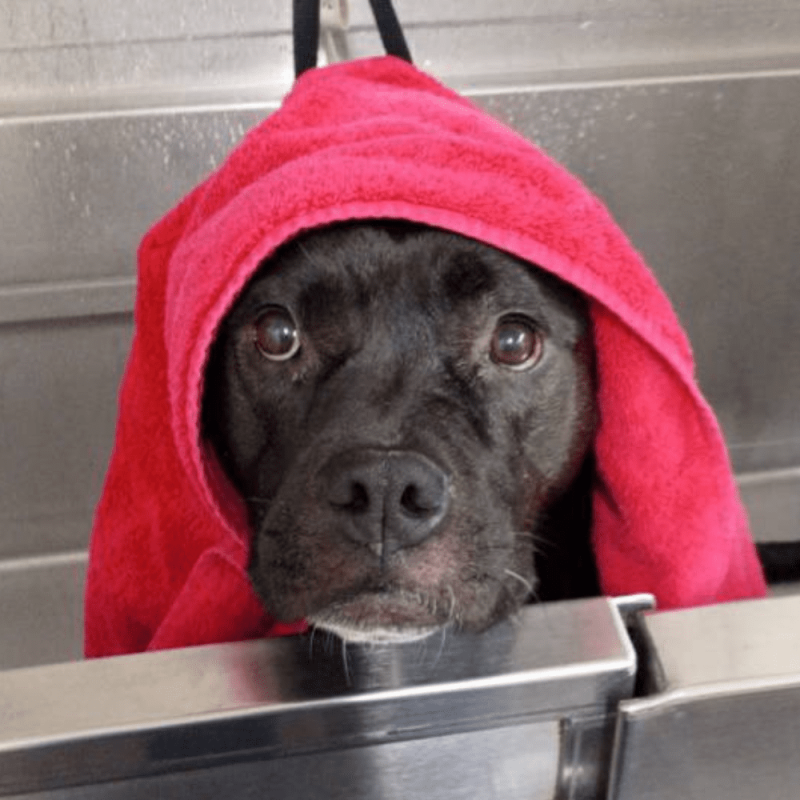 Website 1000x1000 - 2026-03-02T094636.417