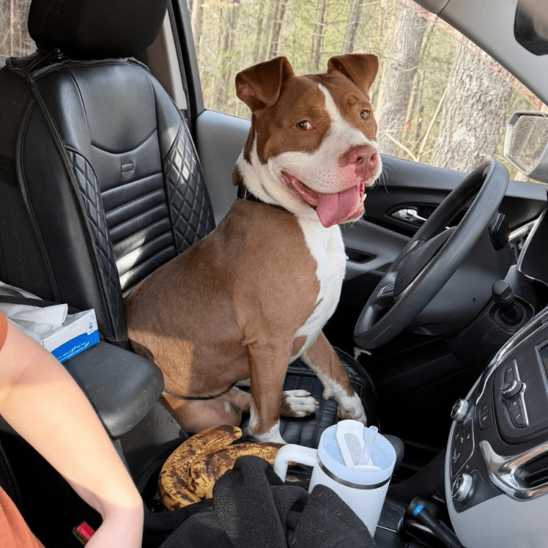 Website 1000x1000 - 2026-03-15T104537.216