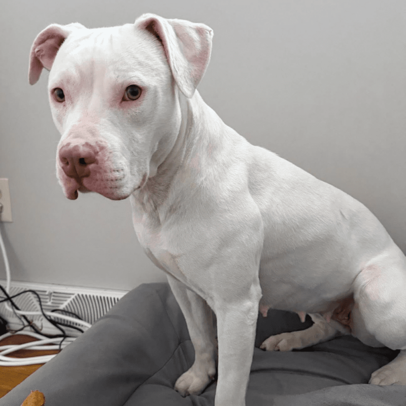 Website 1000x1000 - 2026-03-15T143628.366