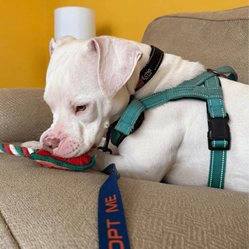 Website 1000x1000 - 2026-03-15T143641.191