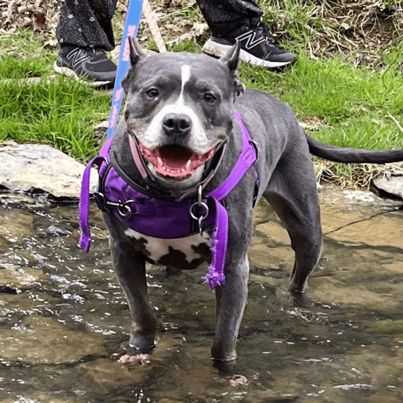 Website 1000x1000 - 2026-03-16T110543.601