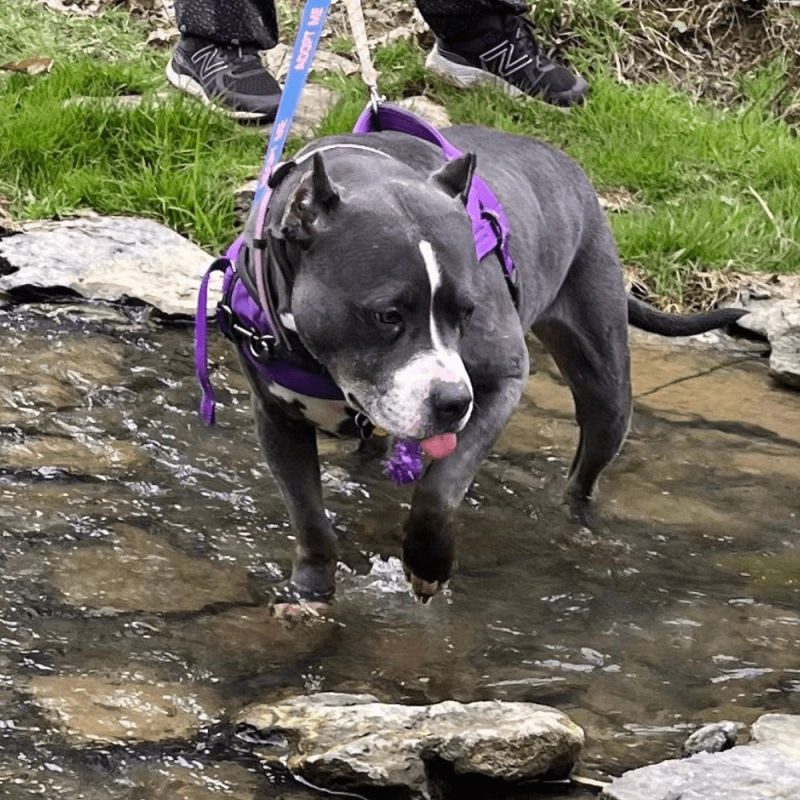 Website 1000x1000 - 2026-03-16T110556.603