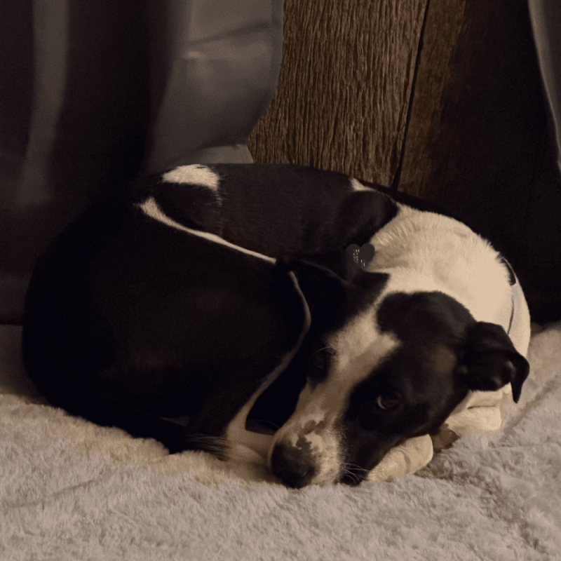 Website 1000x1000 - 2026-03-18T101730.197