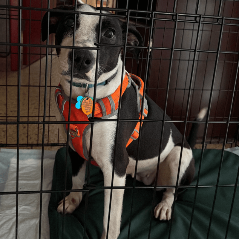 Website 1000x1000 - 2026-03-18T101744.311