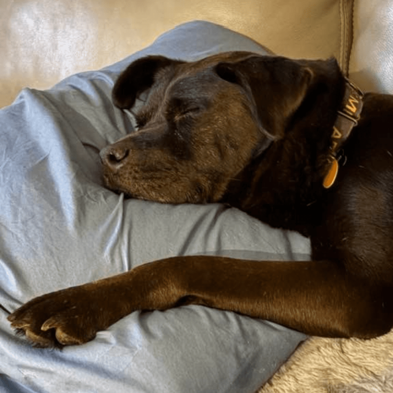 Website 1000x1000 - 2026-03-20T095603.152