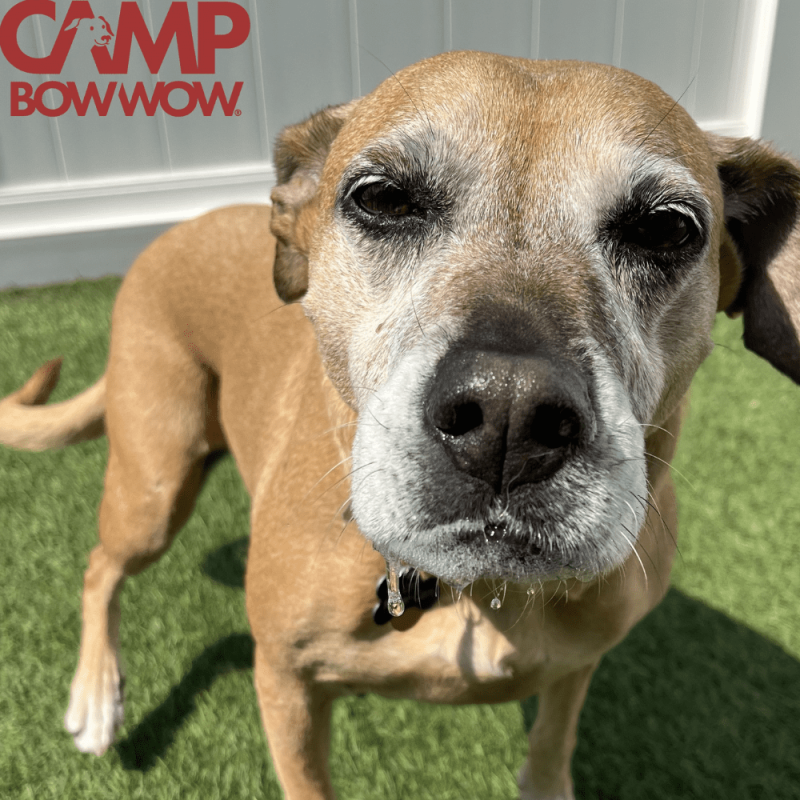 Website 1000x1000 - 2026-03-26T175556.921