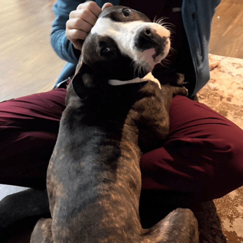 Website 1000x1000 - 2026-04-03T114738.864