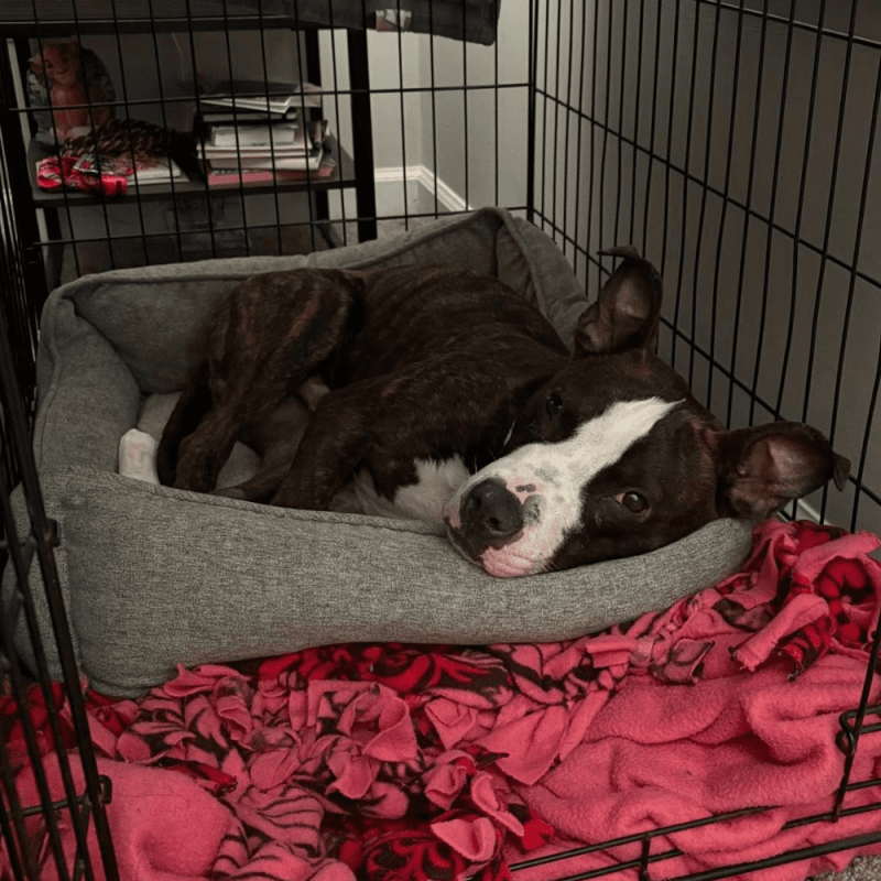 Website 1000x1000 - 2026-04-03T114747.909