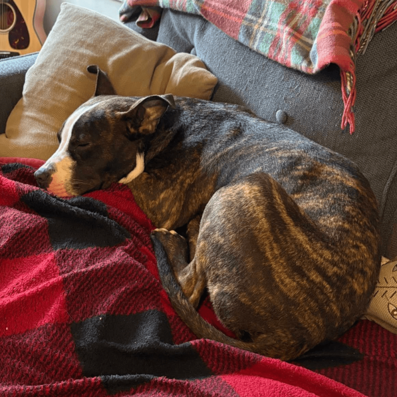 Website 1000x1000 - 2026-04-03T114757.018