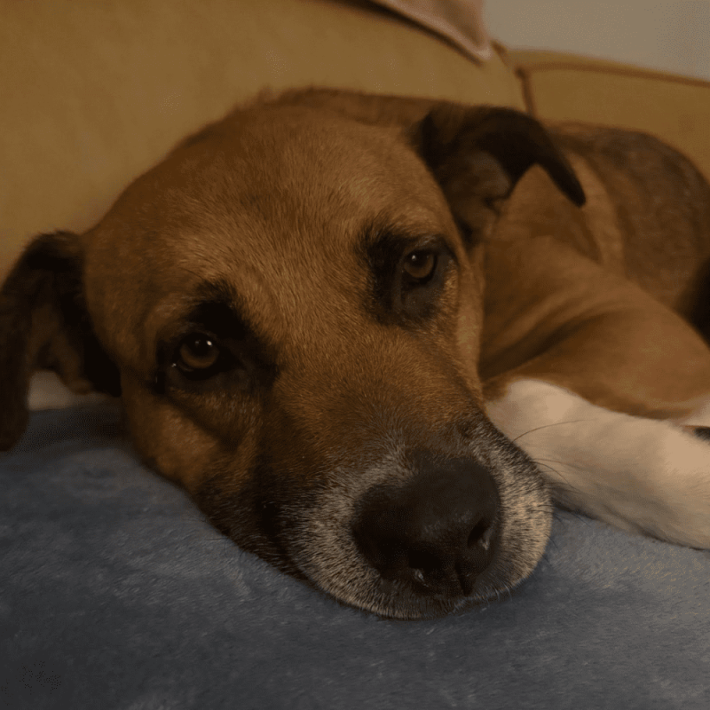 Website 1000x1000 - 2026-04-03T123158.553