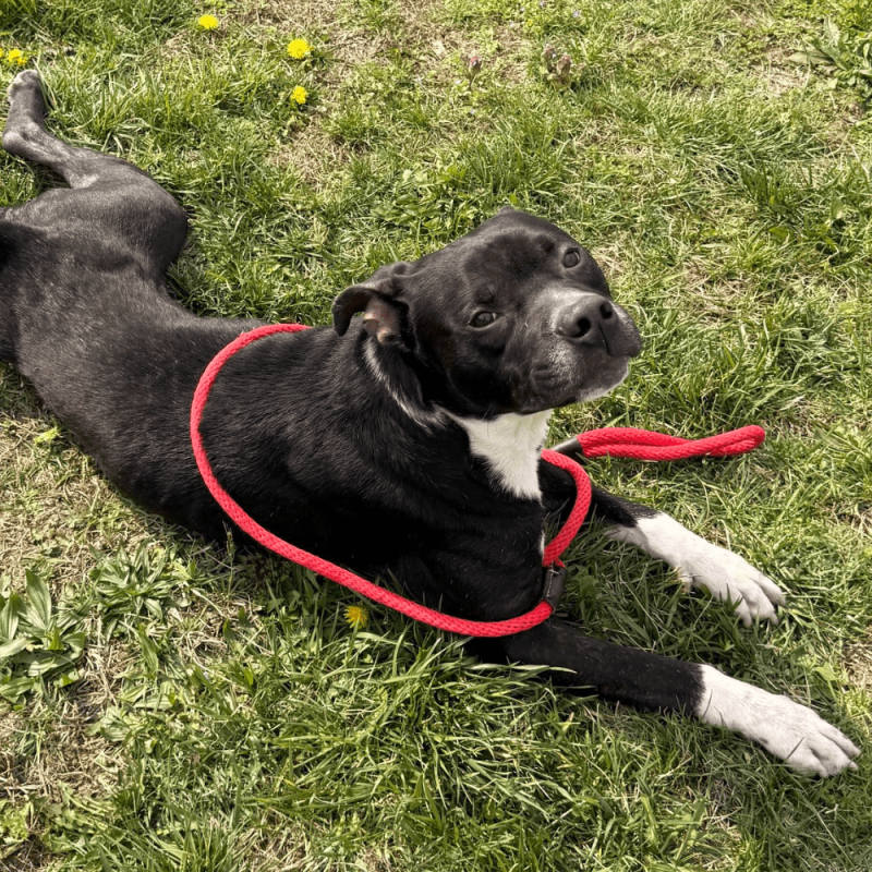 Website 1000x1000 - 2026-04-03T123425.396