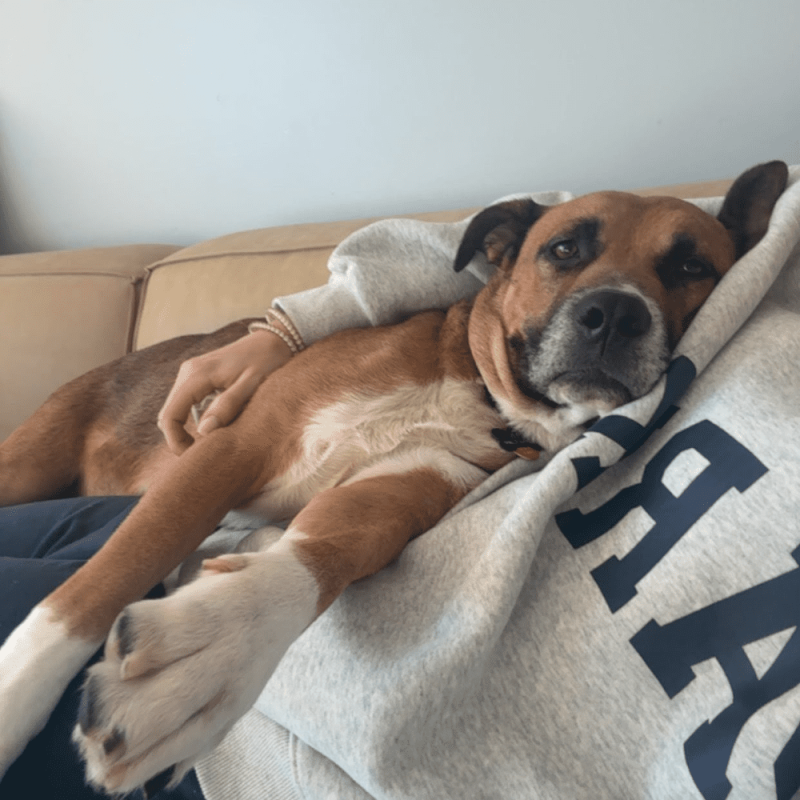 Website 1000x1000 - 2026-04-07T121222.828