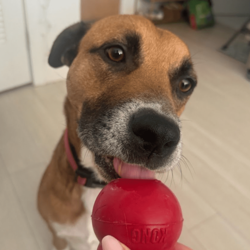 Website 1000x1000 - 2026-04-07T121657.095