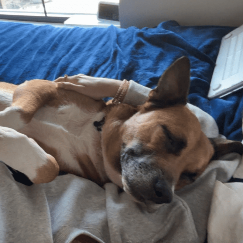 Website 1000x1000 - 2026-04-07T121716.018