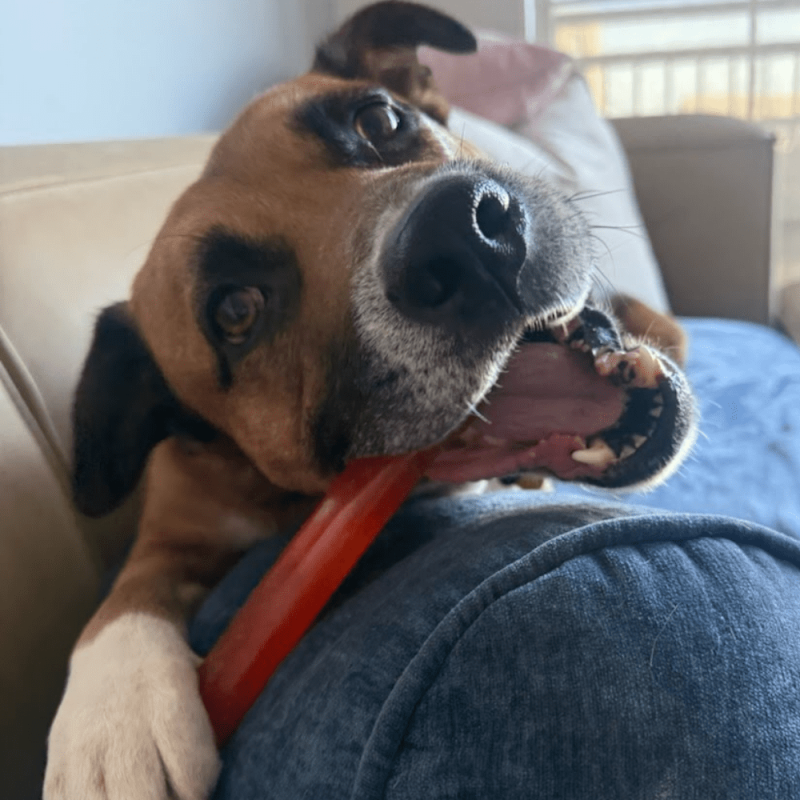 Website 1000x1000 - 2026-04-07T121759.775