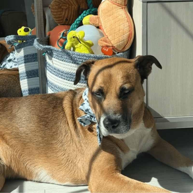 Website 1000x1000 - 2026-04-10T120750.096