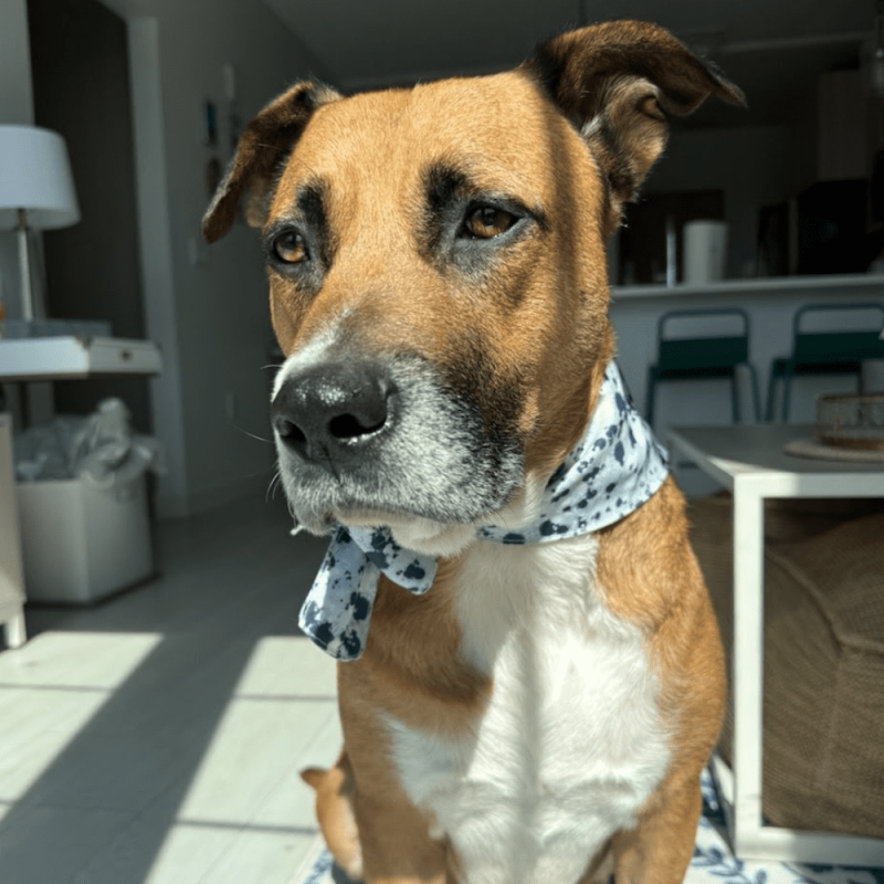 Website 1000x1000 - 2026-04-10T120803.386