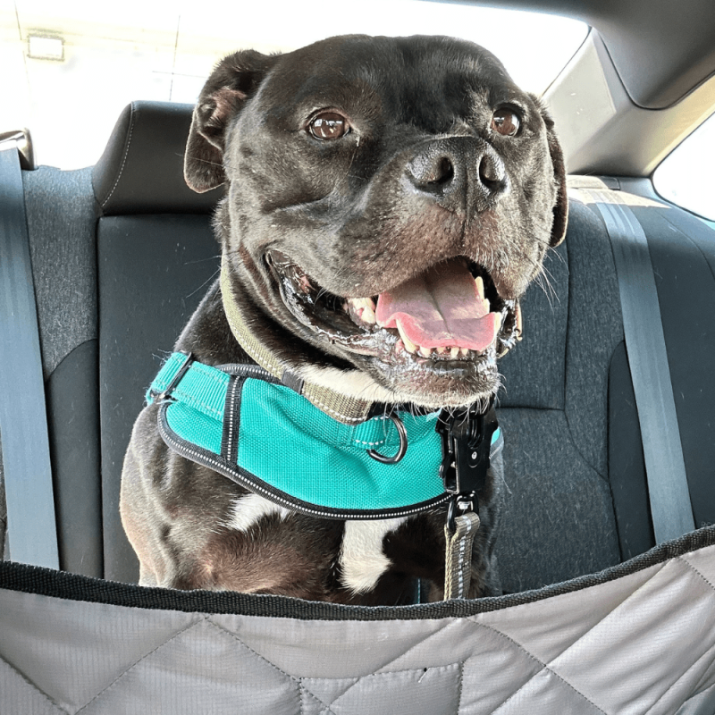 Website 1000x1000 - 2026-04-18T130223.467