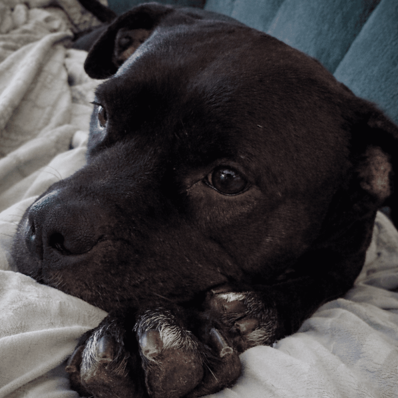 Website 1000x1000 - 2026-04-18T130247.455