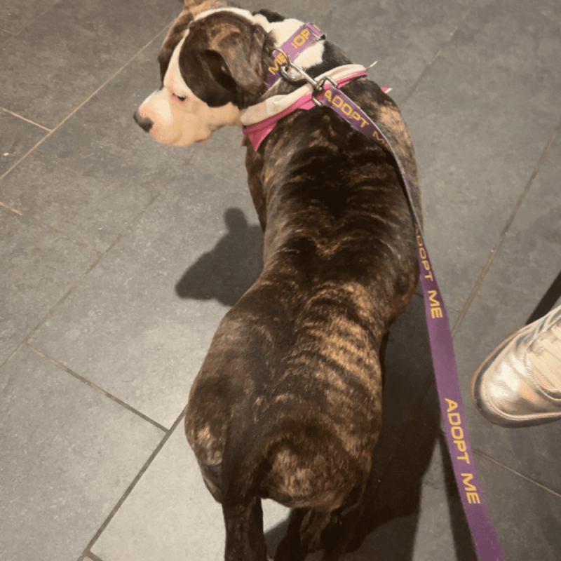 Website 1000x1000 - 2026-04-19T124641.224