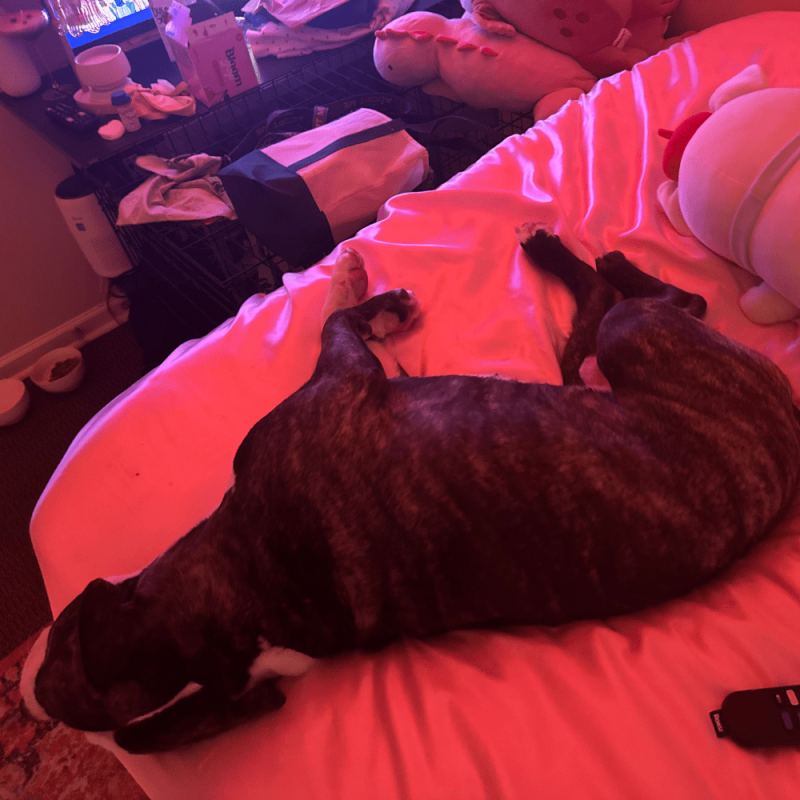 Website 1000x1000 - 2026-04-19T124719.279