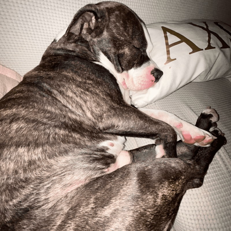 Website 1000x1000 - 2026-04-19T124742.873