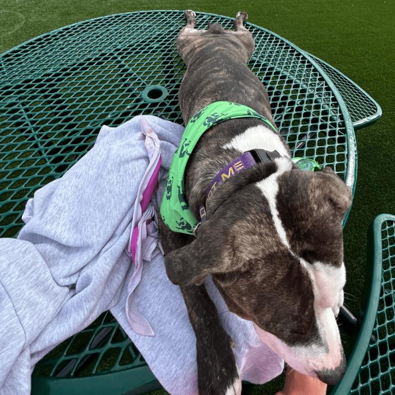 Website 1000x1000 - 2026-04-19T124809.207