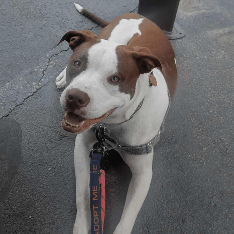 Website 1000x1000 - 2026-04-21T135822.671