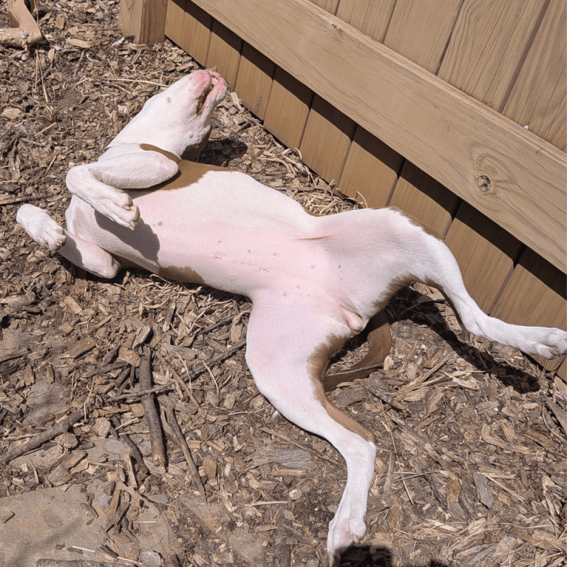 Website 1000x1000 - 2026-04-21T135858.992