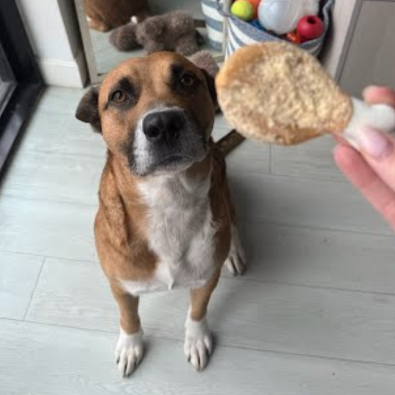 Website 1000x1000 - 2026-04-25T153645.817