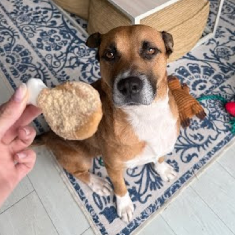 Website 1000x1000 - 2026-04-25T153702.865