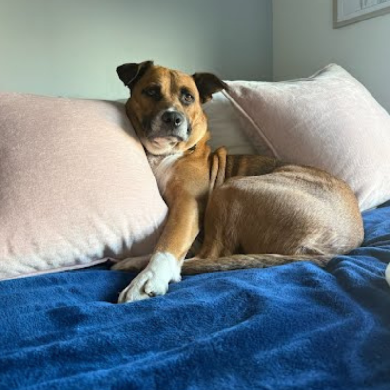 Website 1000x1000 - 2026-04-25T153712.294