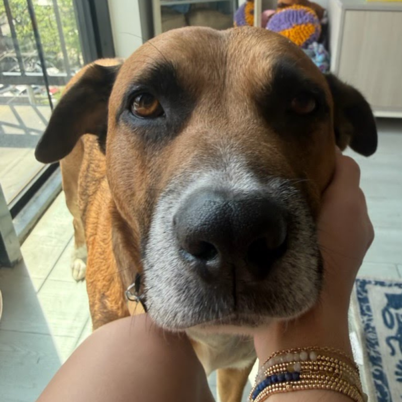 Website 1000x1000 - 2026-04-25T153721.473