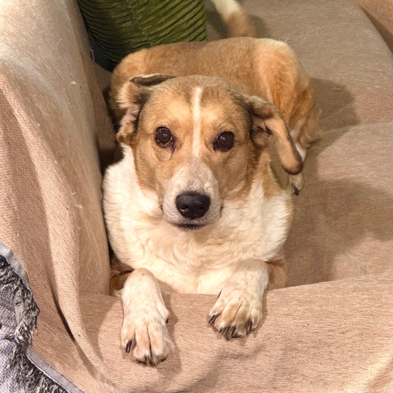 Website 1000x1000 - 2026-04-26T114500.170