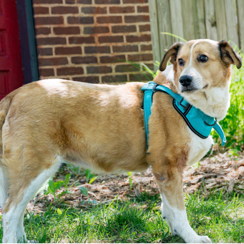 Website 1000x1000 - 2026-04-26T114524.331