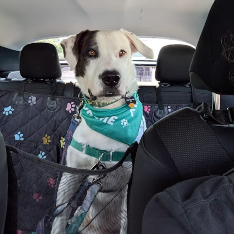 Website 1000x1000 - 2026-04-26T161715.233