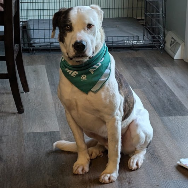 Website 1000x1000 - 2026-04-26T161731.214