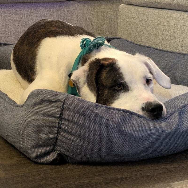 Website 1000x1000 - 2026-04-26T161740.343