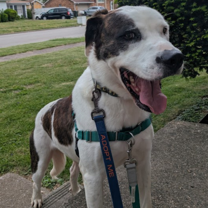 Website 1000x1000 - 2026-04-26T161755.441