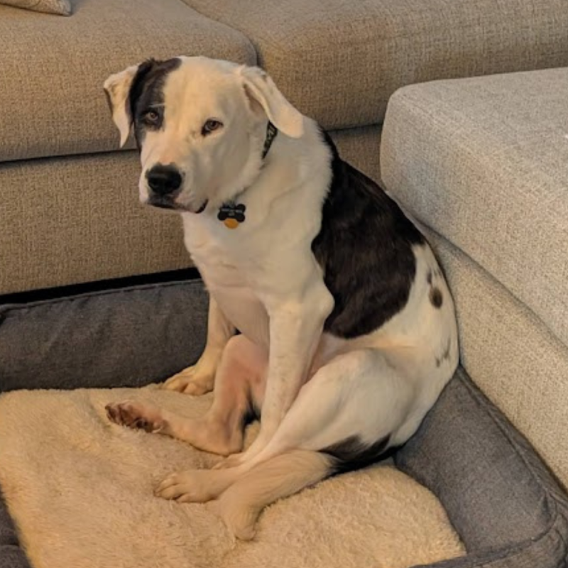 Website 1000x1000 - 2026-04-26T161808.497