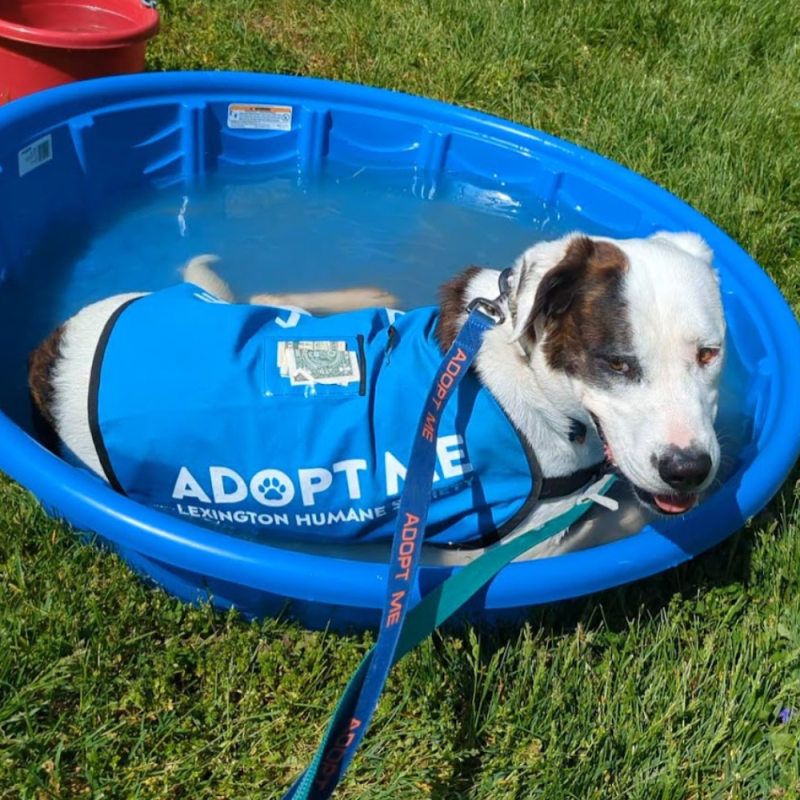 Website 1000x1000 - 2026-04-26T161819.110