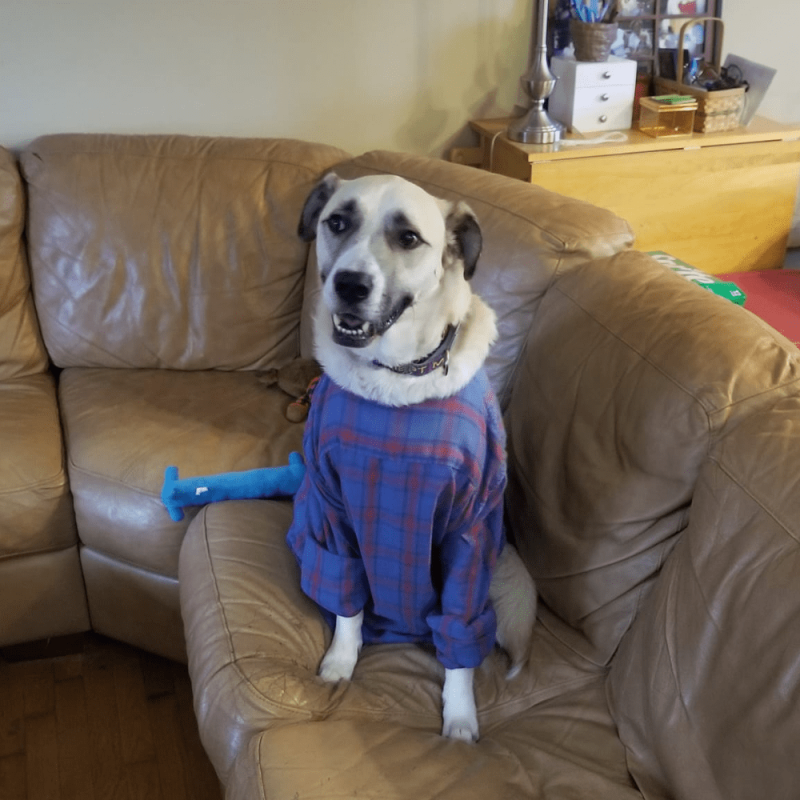 Website 1000x1000 (21)