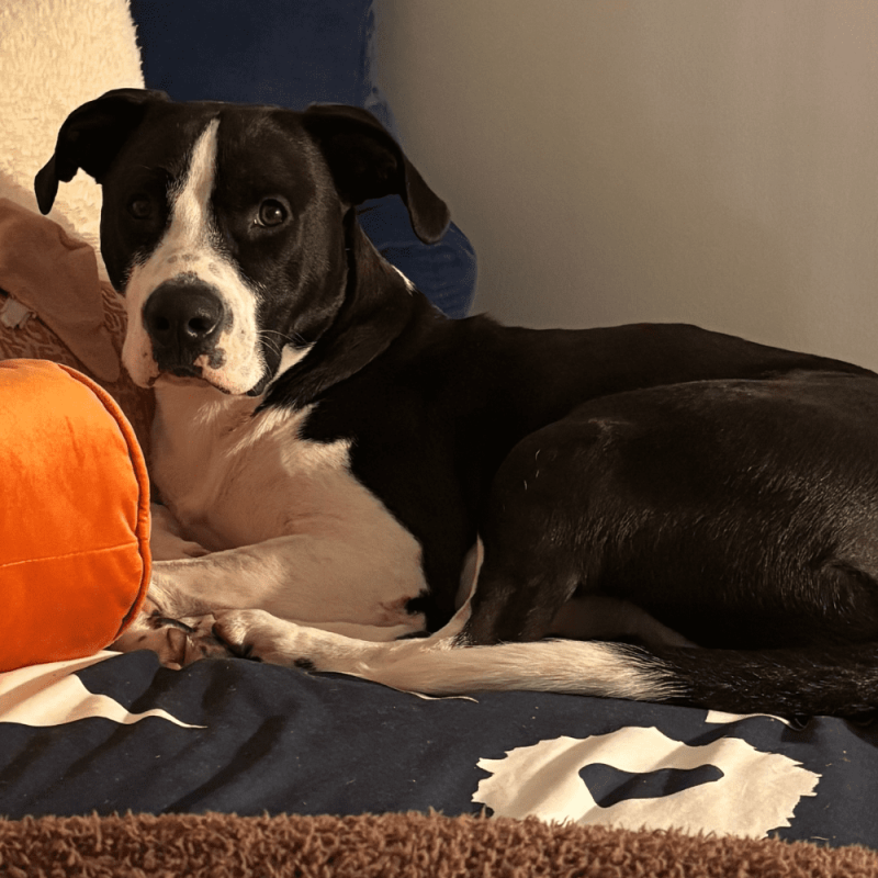 Website 1000x1000 (21)