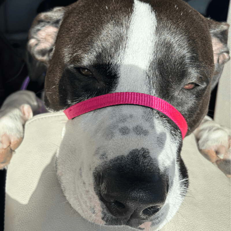 Website 1000x1000 (22)