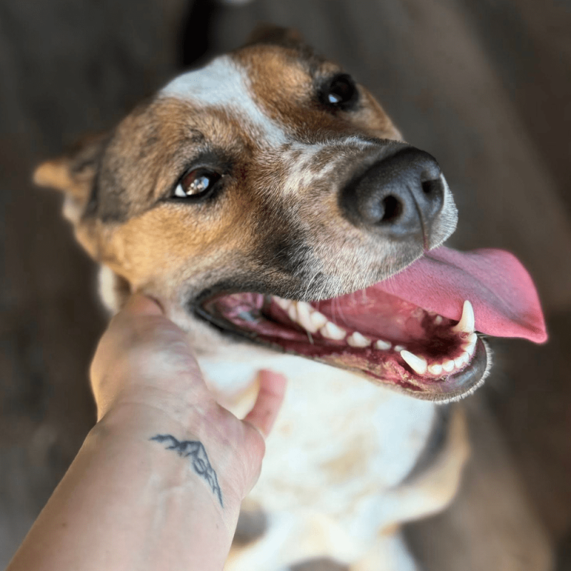 Website 1000x1000 (25)