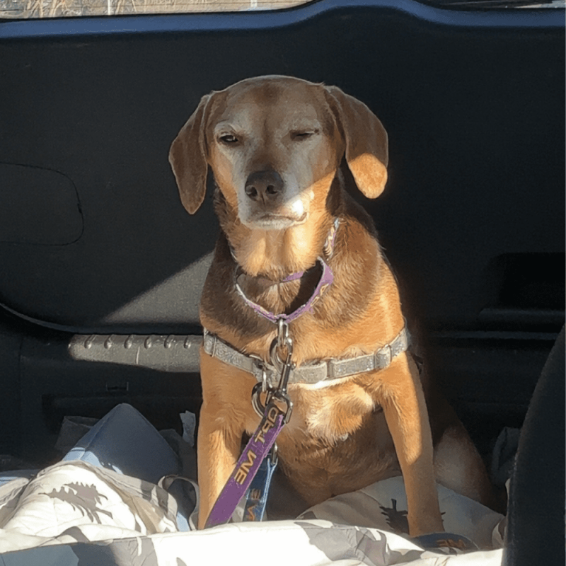 Website 1000x1000 (25)